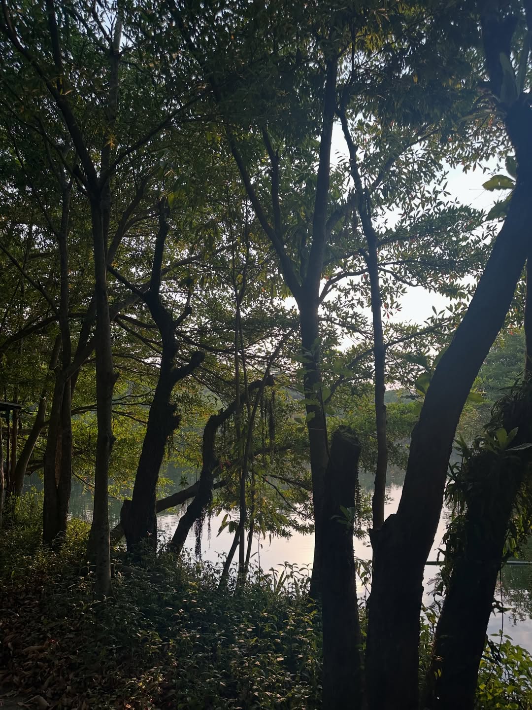 โอปอล์ - ปาณิสรา อารยะสกุล