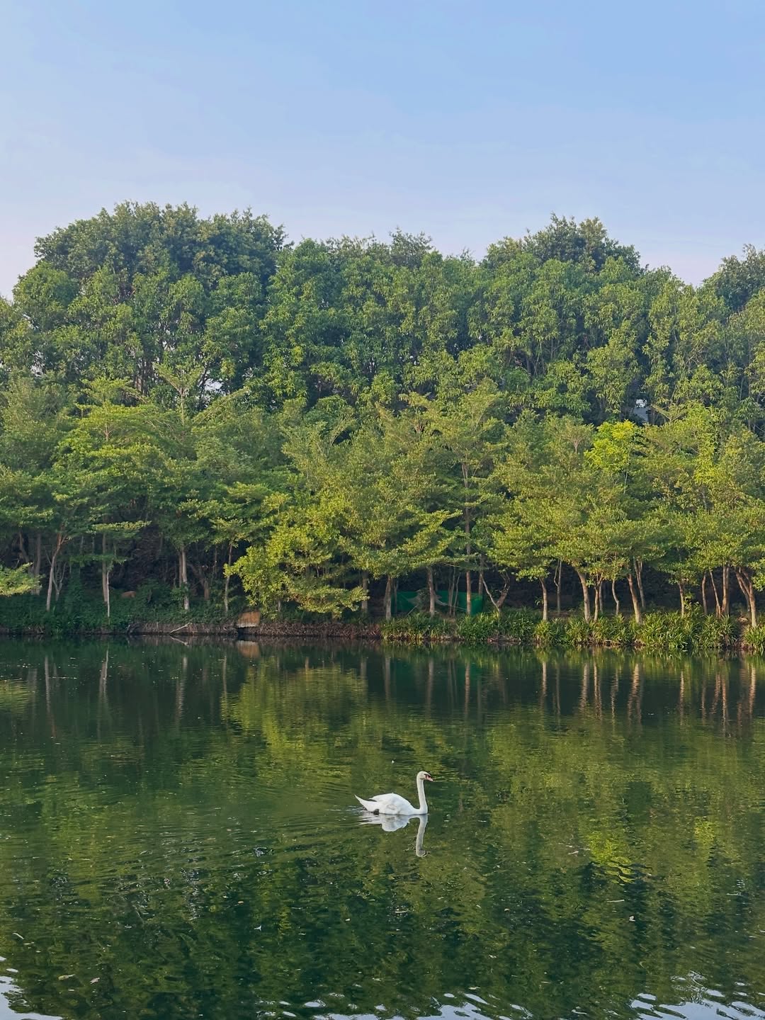 โอปอล์ - ปาณิสรา อารยะสกุล