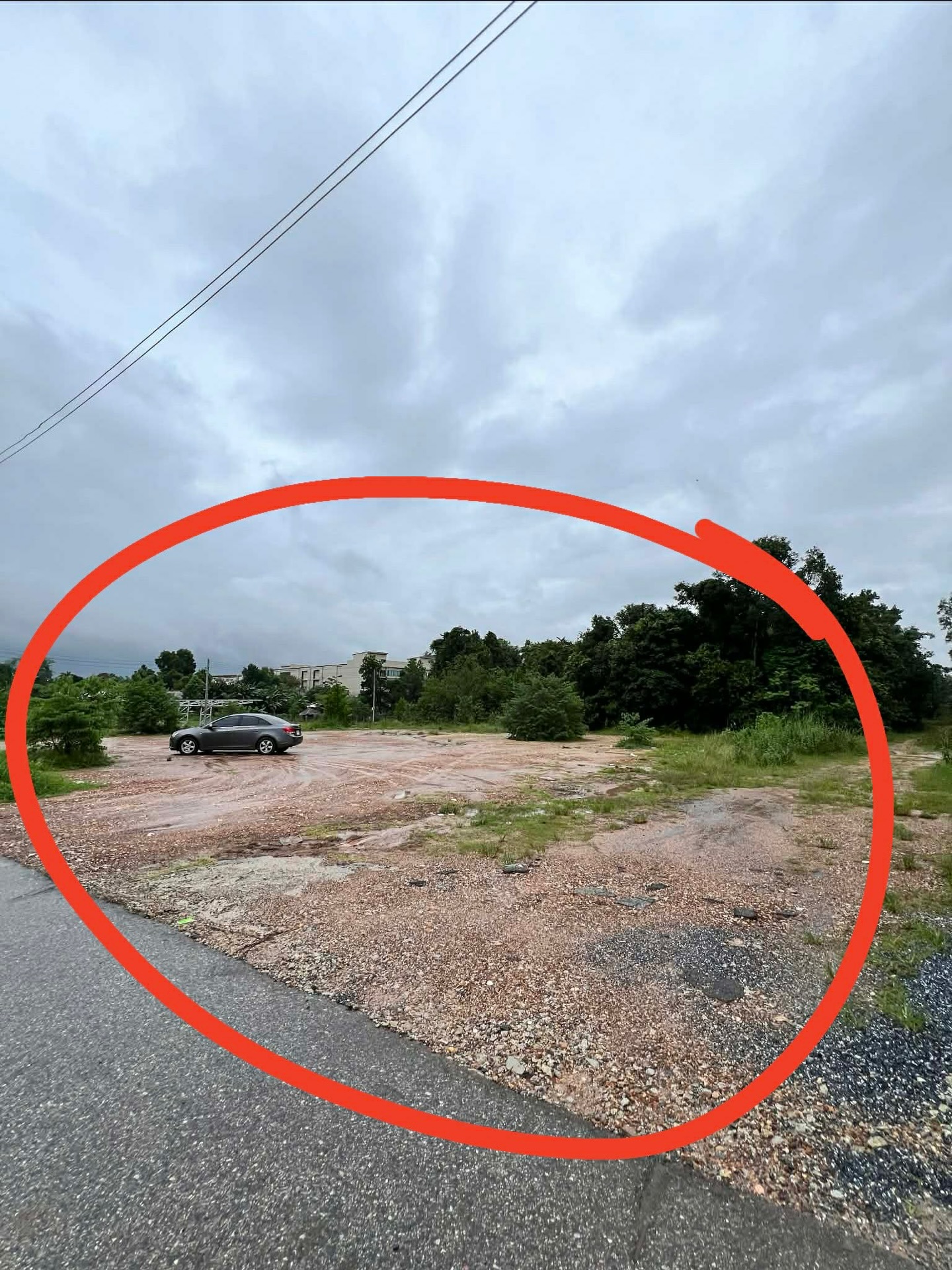 ไผ่ - พาทิศ พิสิฐกุล