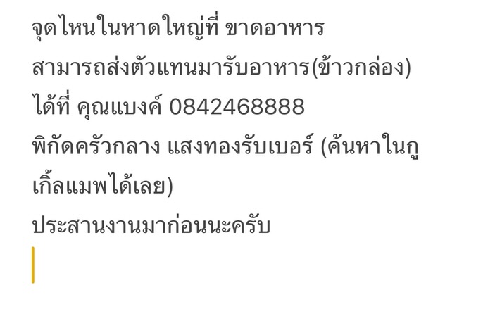 ไผ่ - พาทิศ พิสิฐกุล