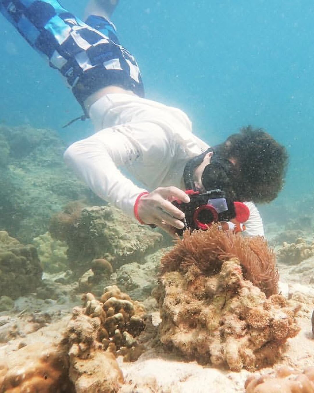 ไผ่ - พาทิศ พิสิฐกุล