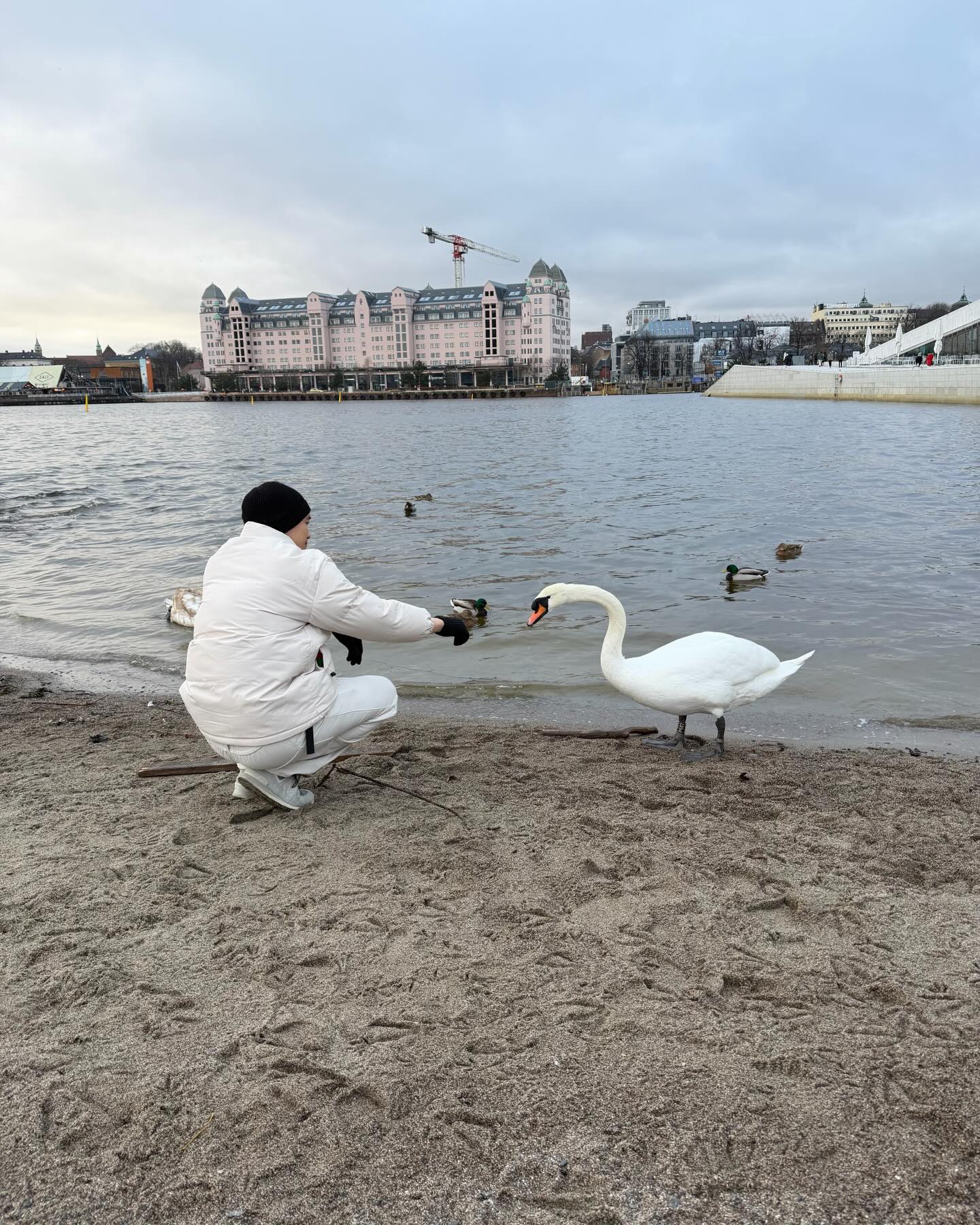 ไผ่ - พาทิศ พิสิฐกุล