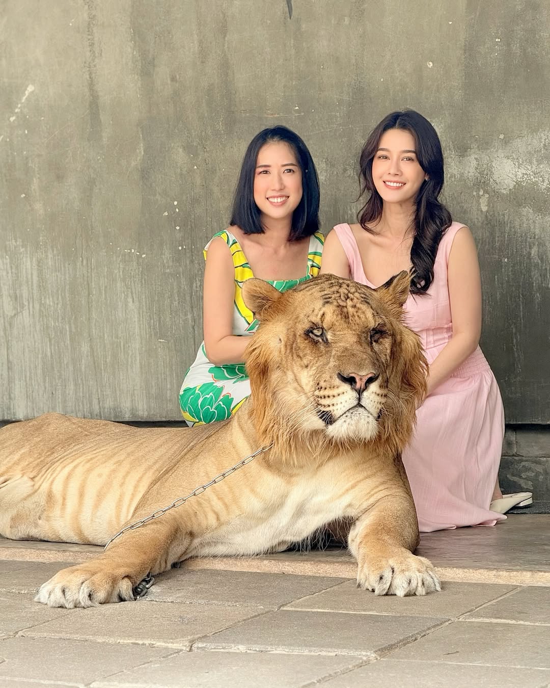 โม - อมีนา พินิจ