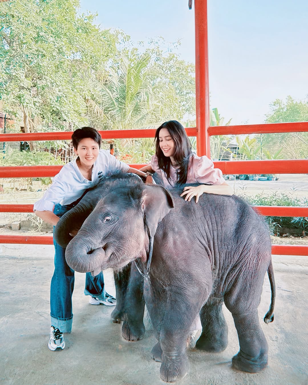 โม - อมีนา พินิจ