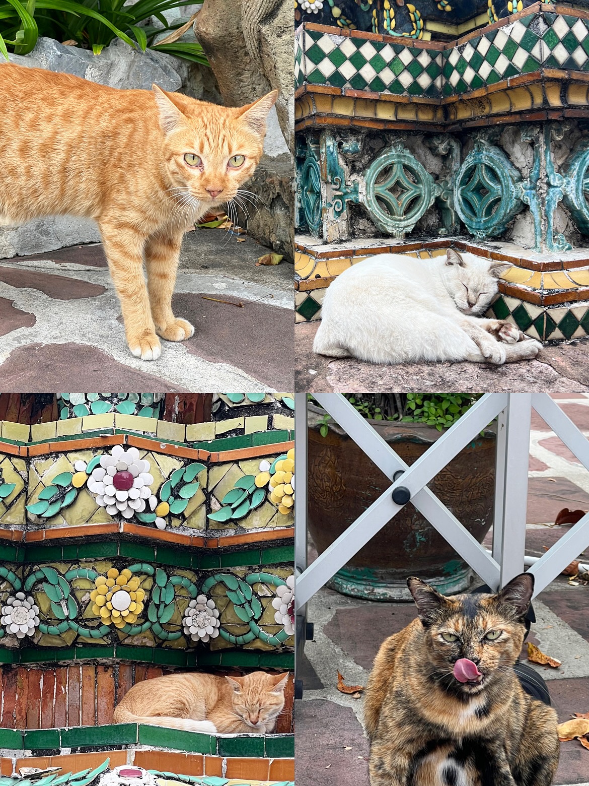 โม - อมีนา พินิจ