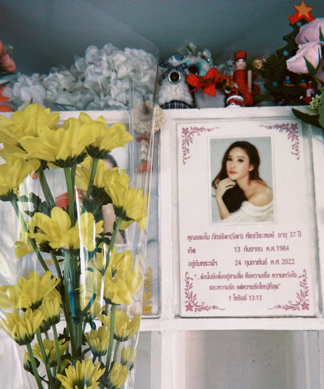 โม - อมีนา พินิจ