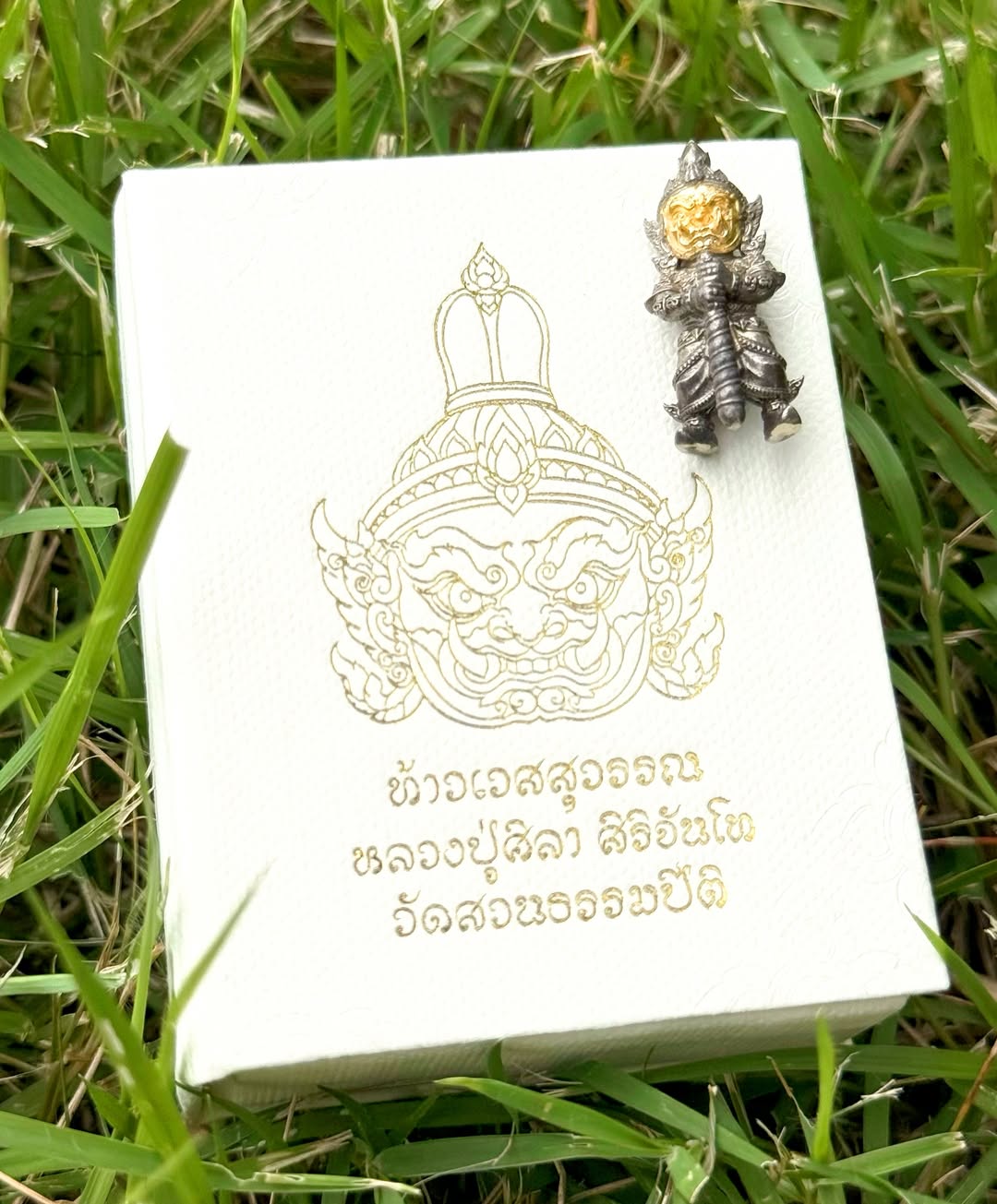 โม - อมีนา พินิจ