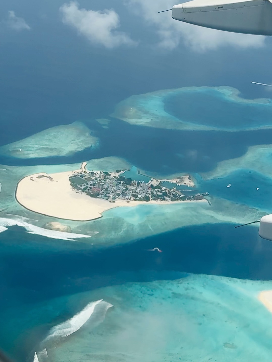 ธัญญ่า - ธัญญาเรศ เองตระกูล