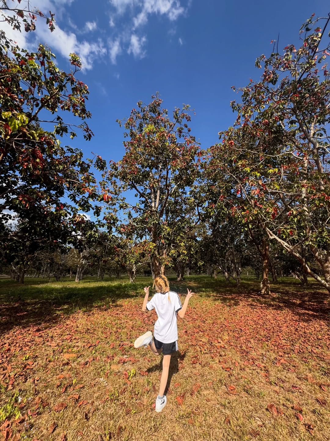 ธัญญ่า - ธัญญาเรศ เองตระกูล
