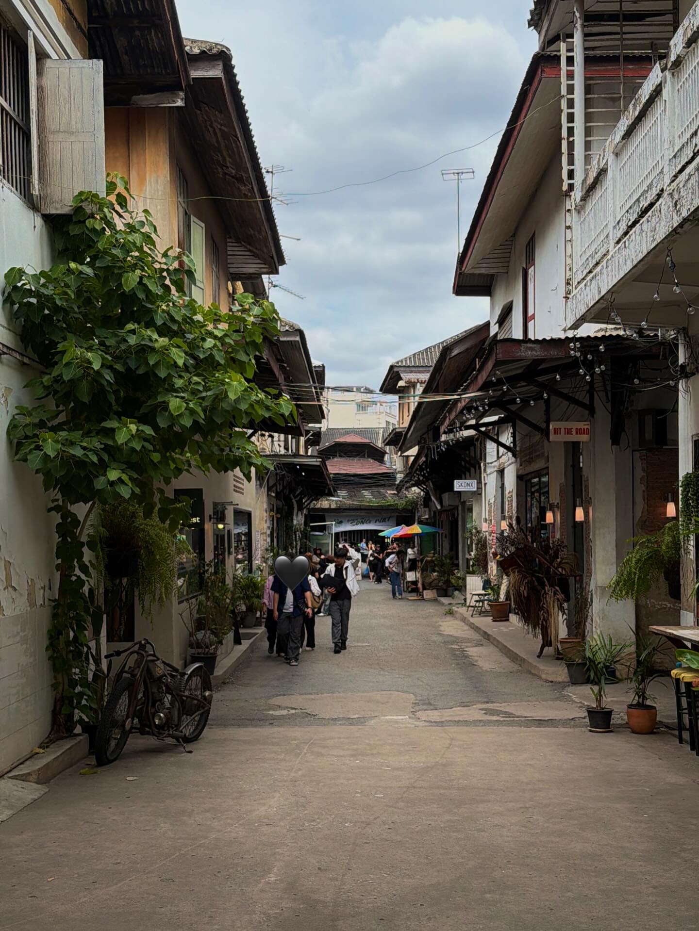 เอสเธอร์ สุปรีย์ลีลา