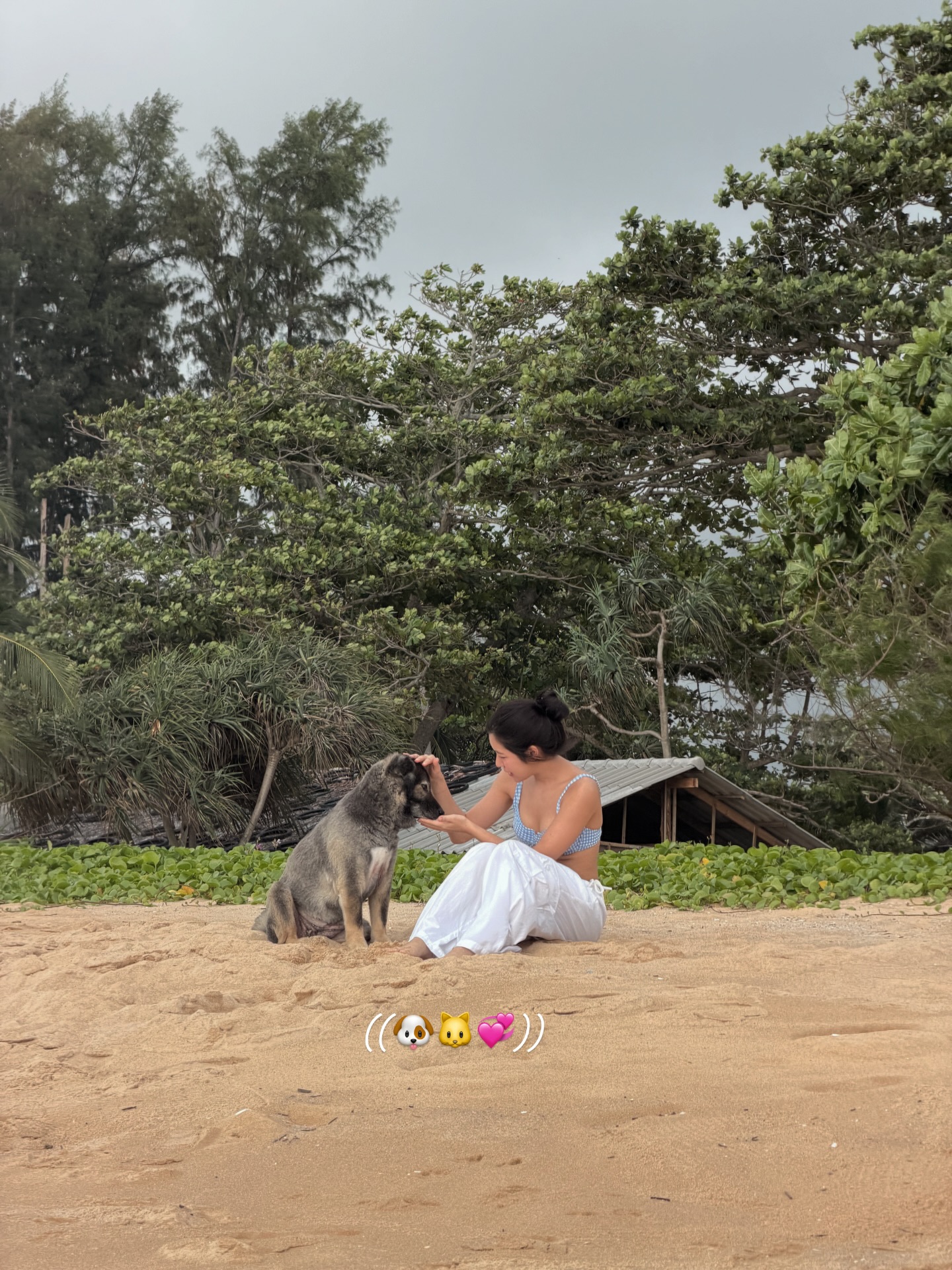 แจน -  พลอยชมพู ศุภทรัพย์