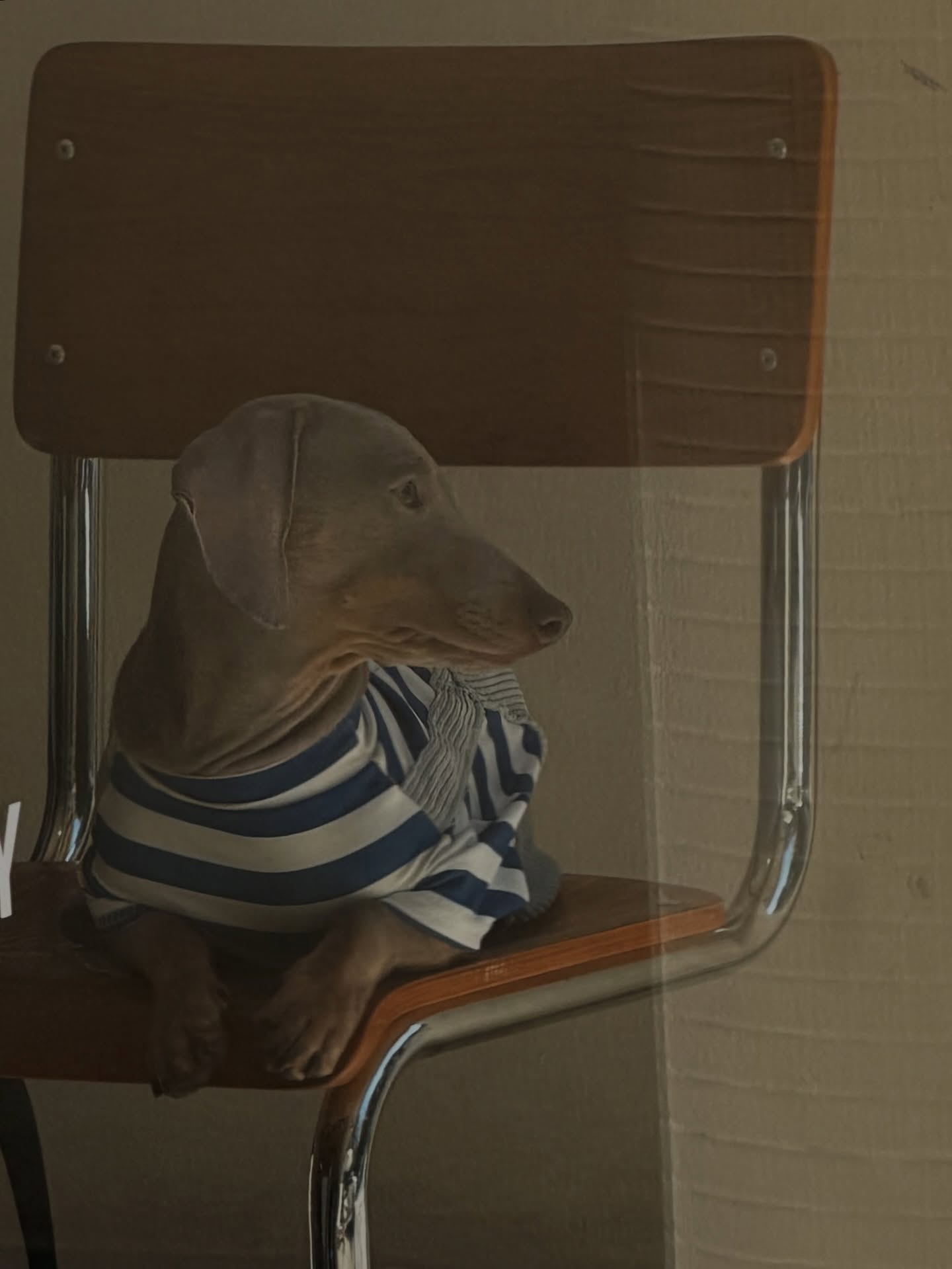 แจน -  พลอยชมพู ศุภทรัพย์