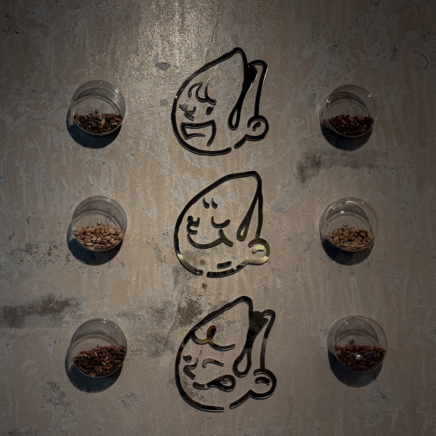 แจน -  พลอยชมพู ศุภทรัพย์