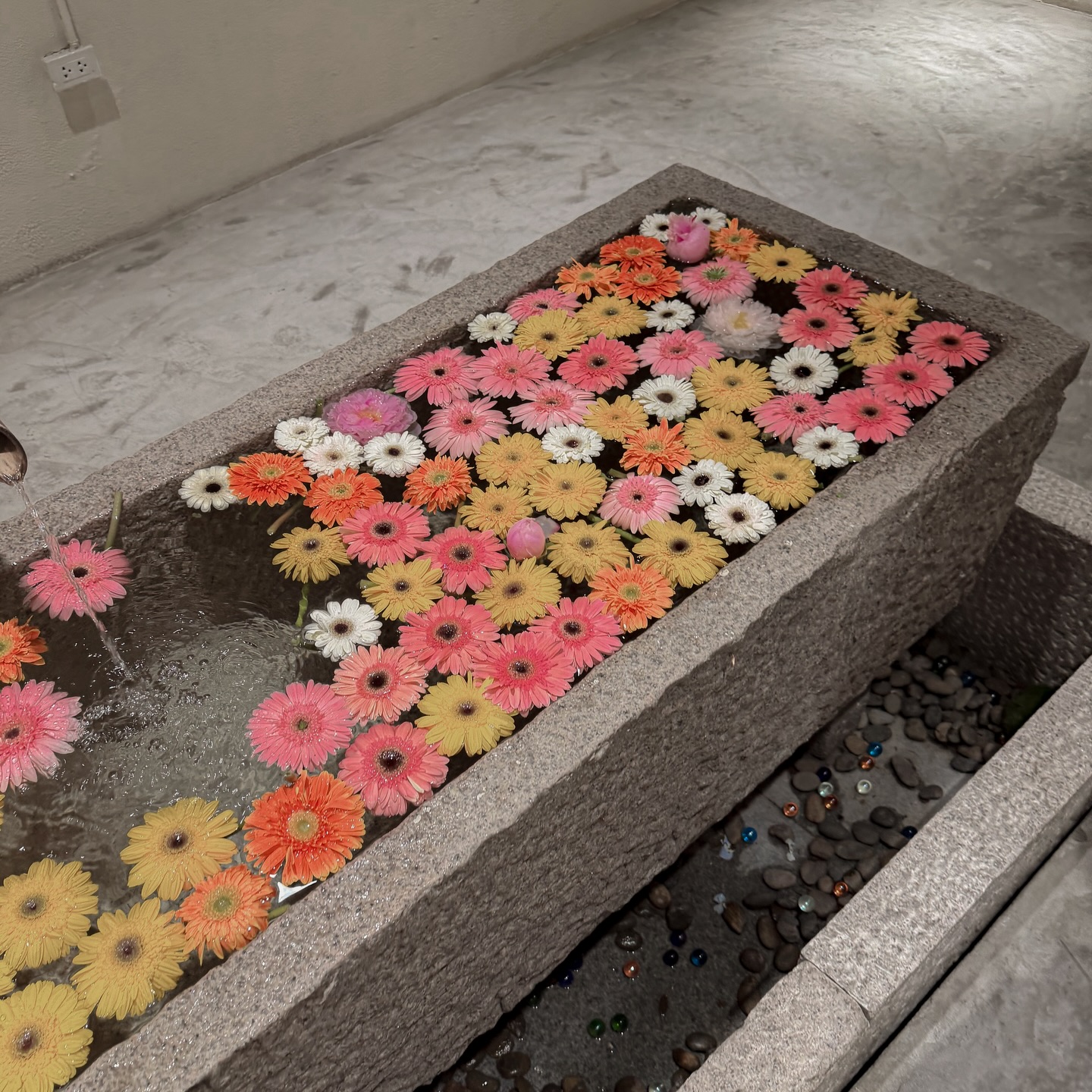 แจน -  พลอยชมพู ศุภทรัพย์