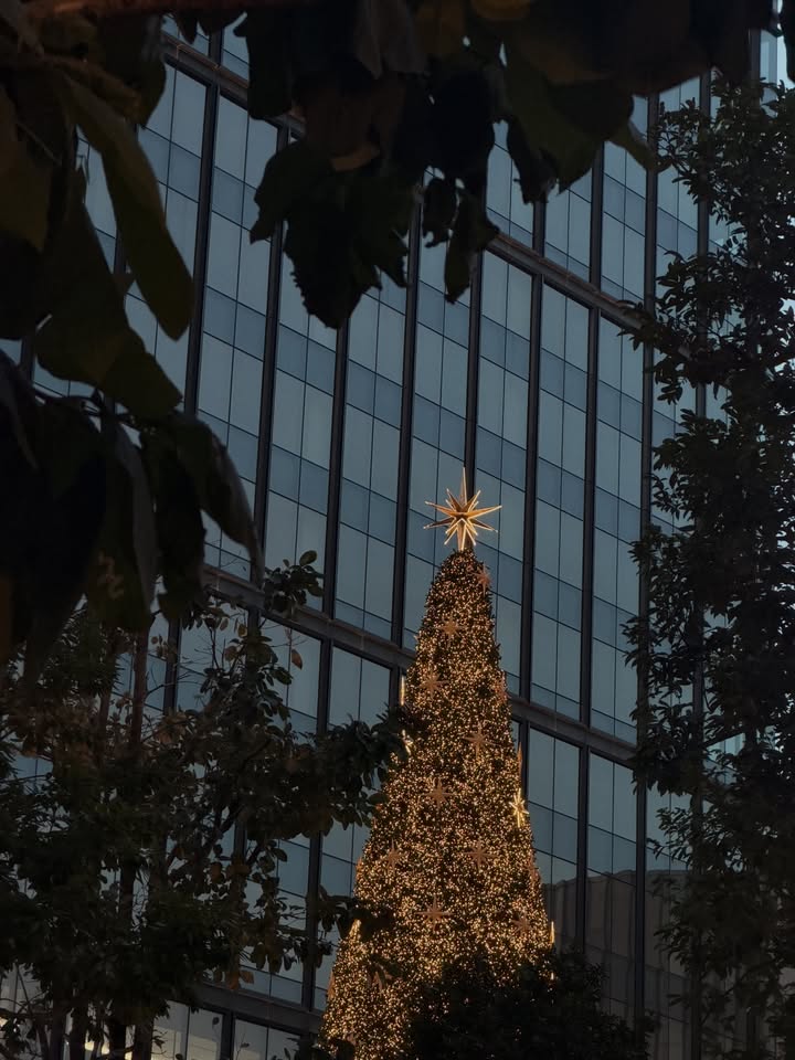 แจน -  พลอยชมพู ศุภทรัพย์