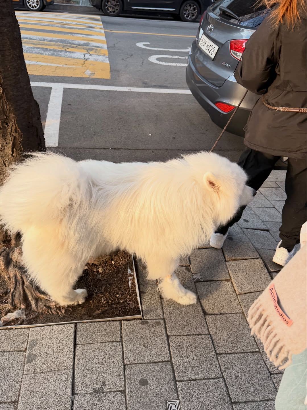 แจน -  พลอยชมพู ศุภทรัพย์
