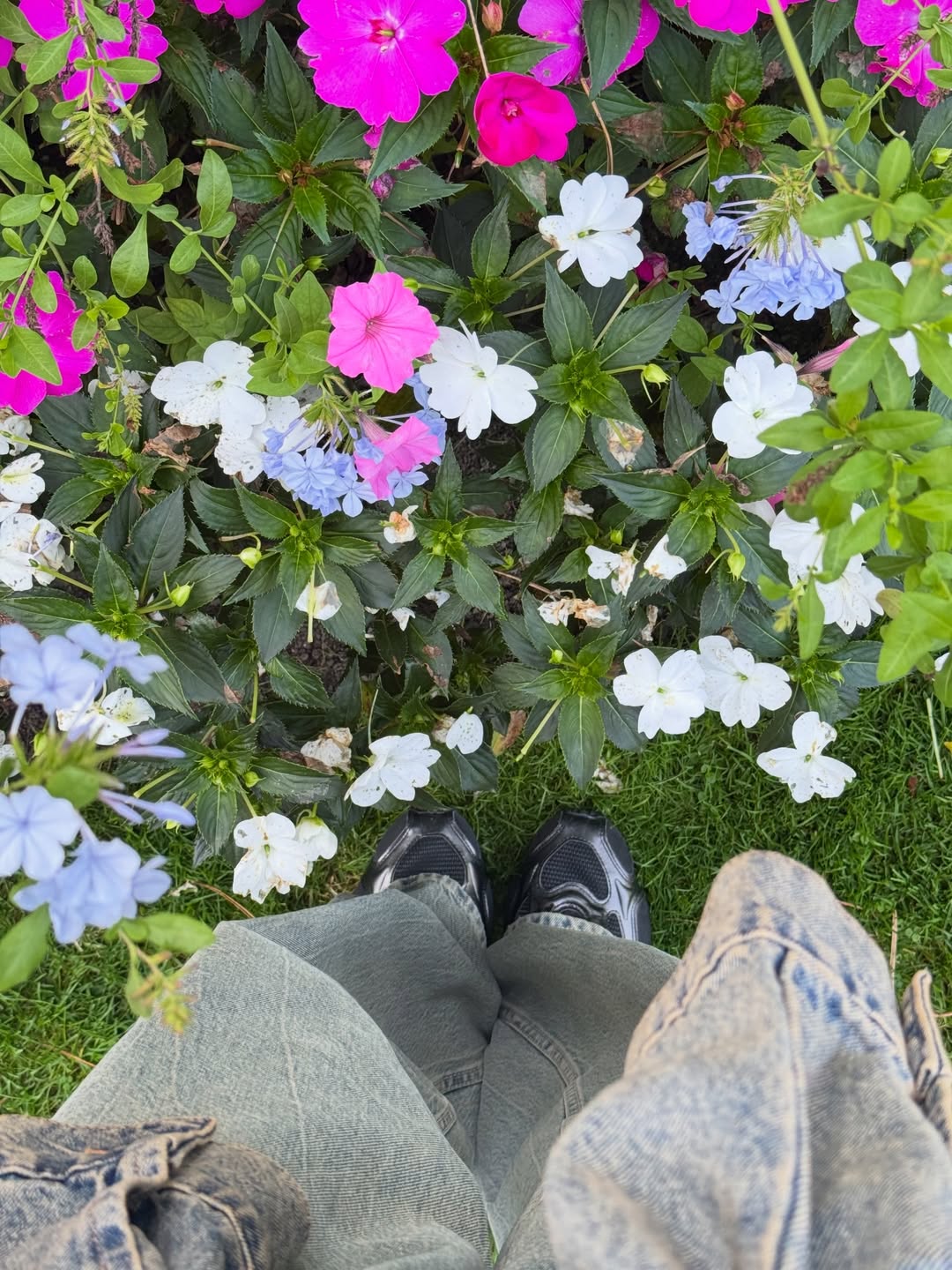 แจน -  พลอยชมพู ศุภทรัพย์