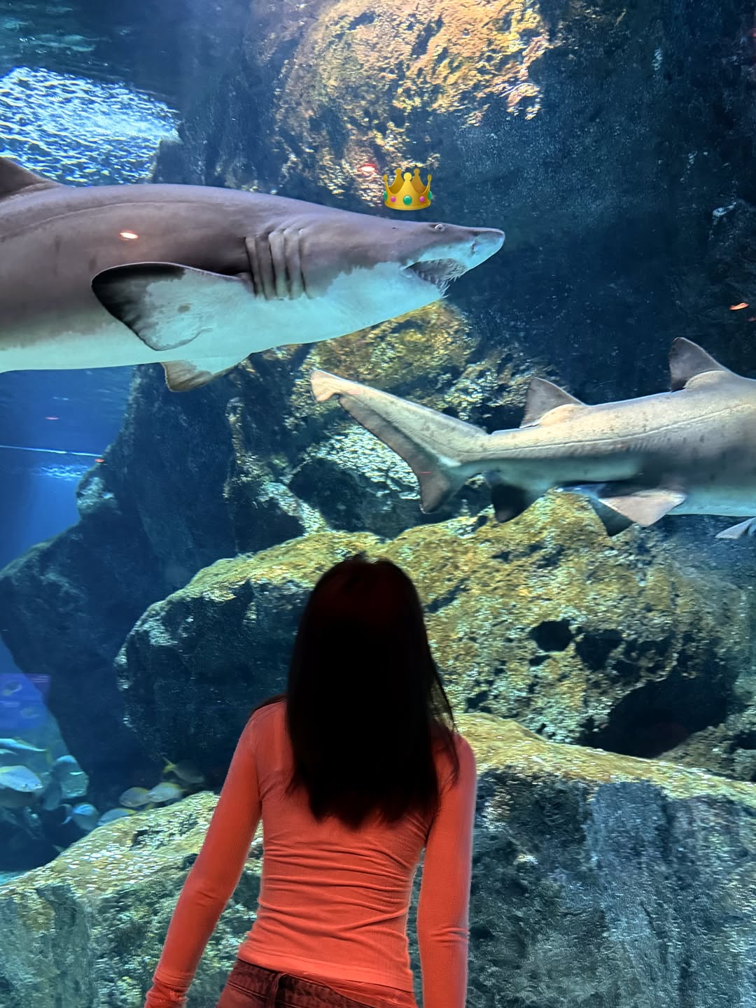 แจน -  พลอยชมพู ศุภทรัพย์