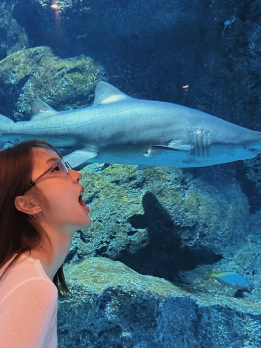 แจน -  พลอยชมพู ศุภทรัพย์