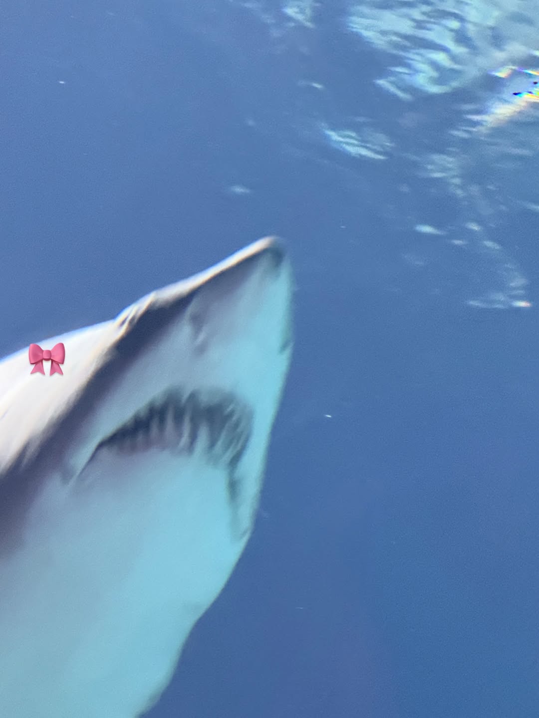 แจน -  พลอยชมพู ศุภทรัพย์