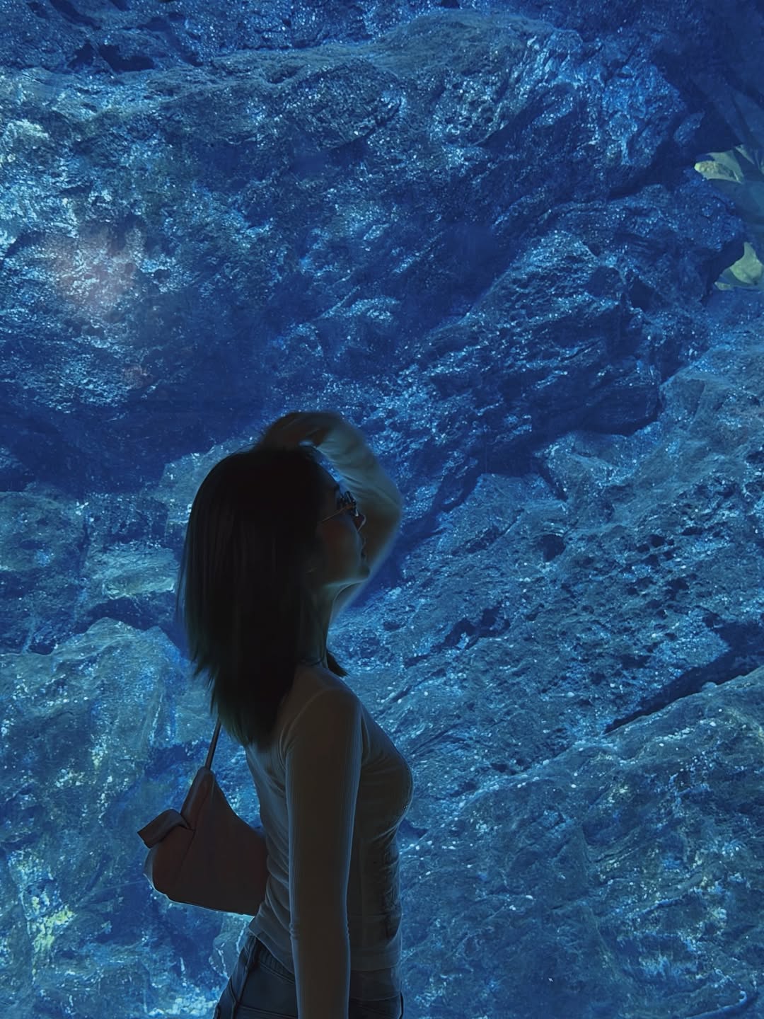 แจน -  พลอยชมพู ศุภทรัพย์