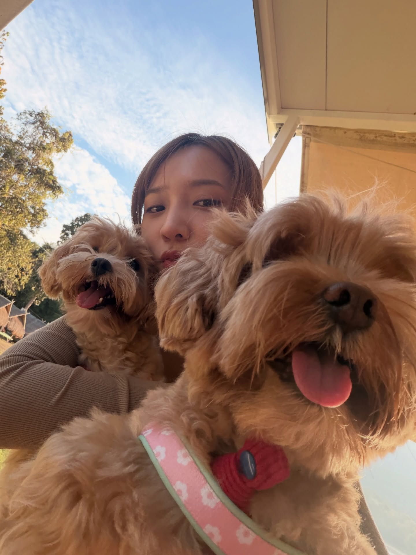 แจน -  พลอยชมพู ศุภทรัพย์