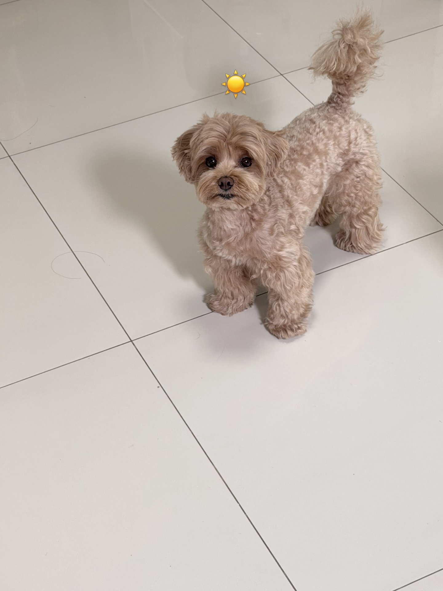 แจน -  พลอยชมพู ศุภทรัพย์