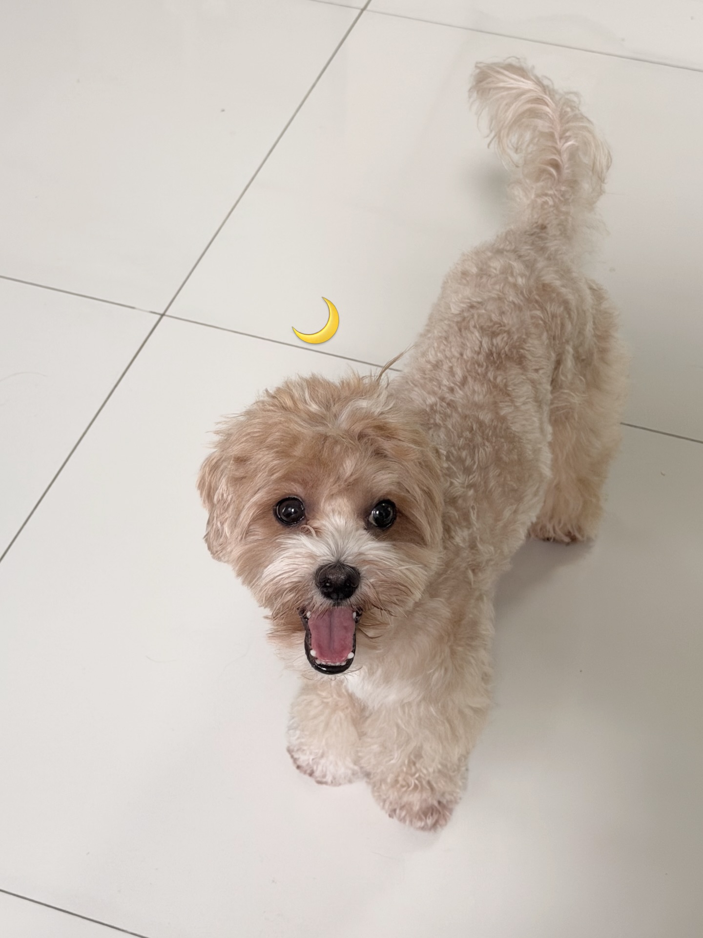 แจน -  พลอยชมพู ศุภทรัพย์