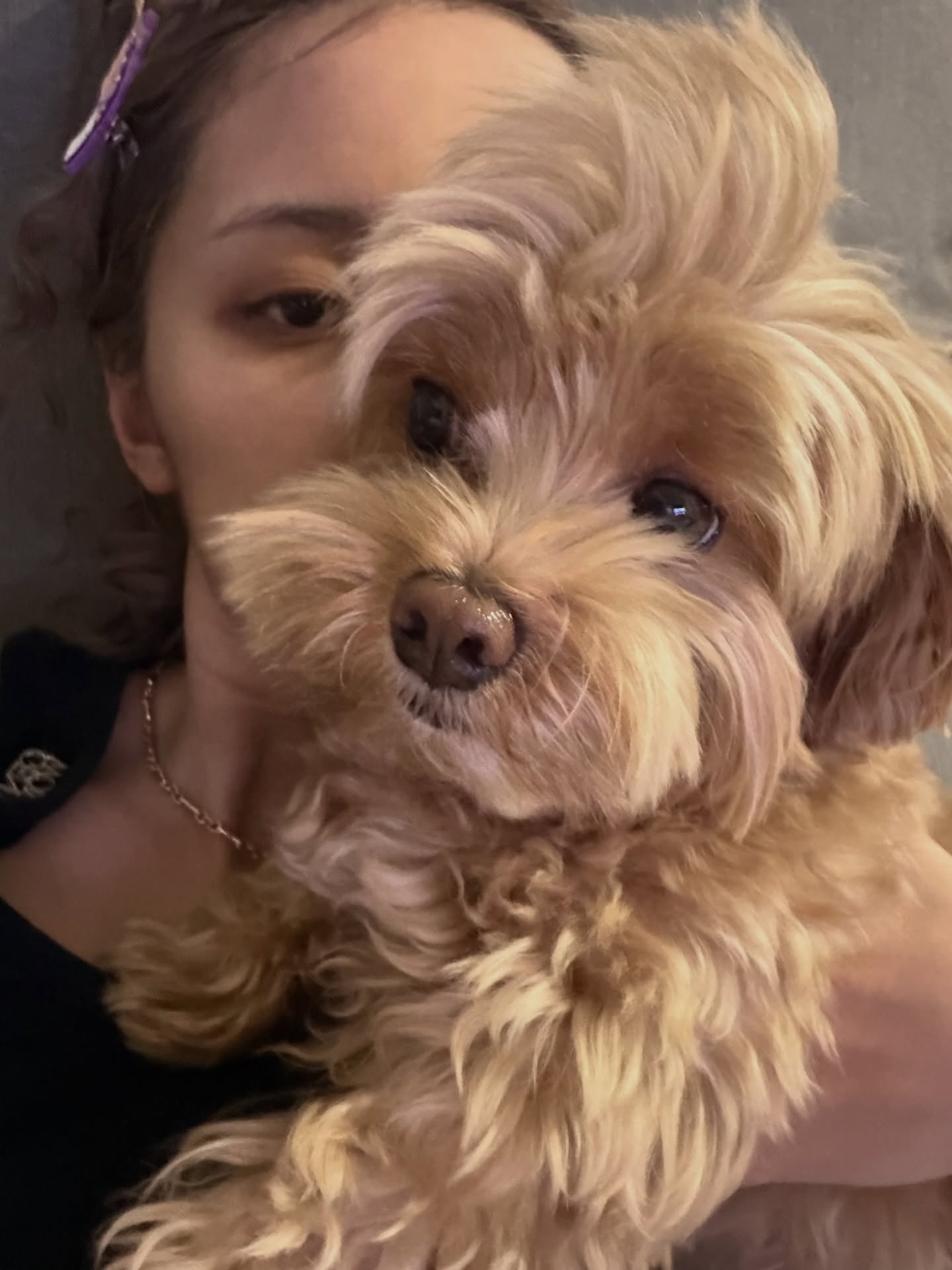 แจน -  พลอยชมพู ศุภทรัพย์