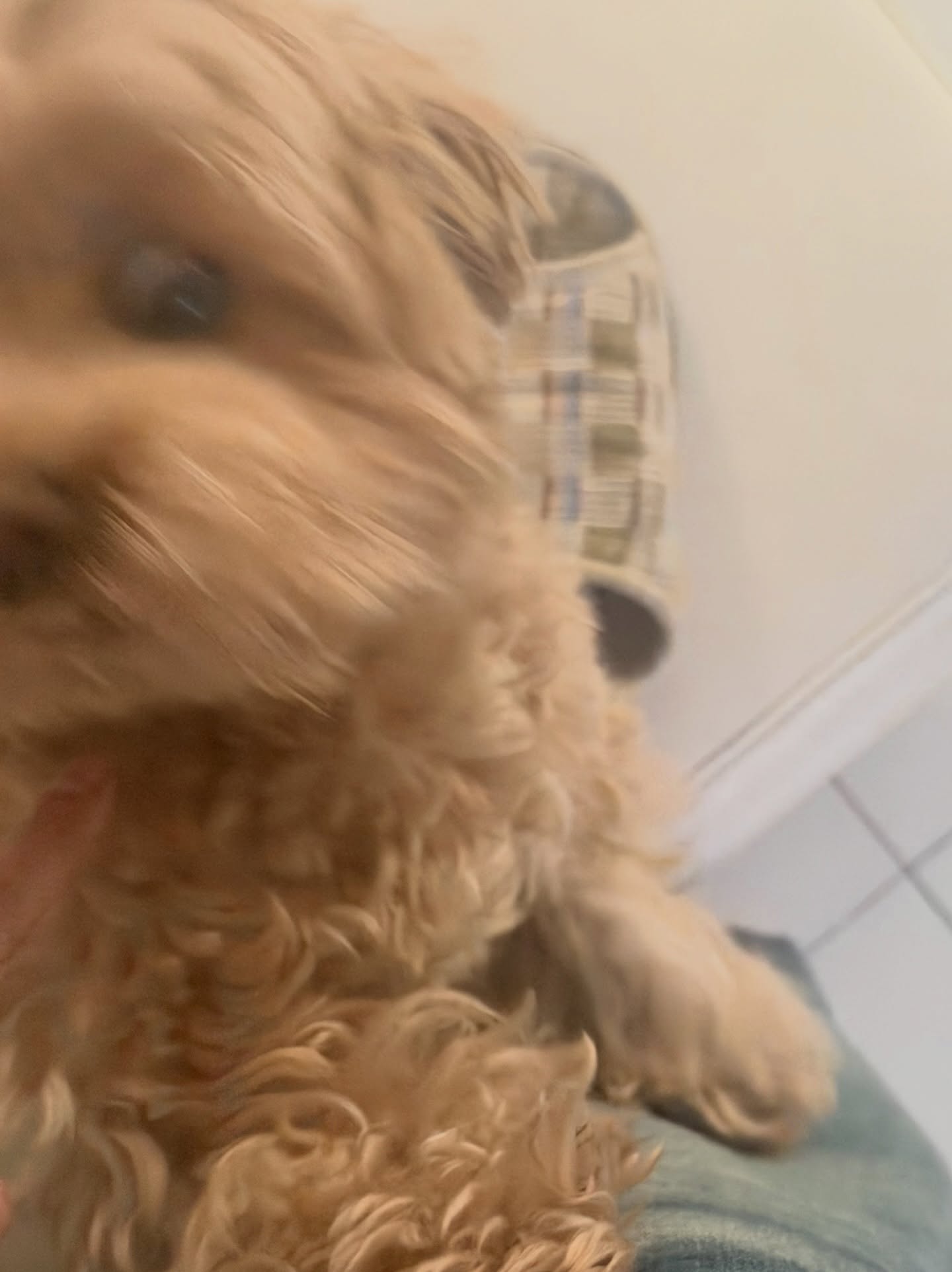 แจน -  พลอยชมพู ศุภทรัพย์