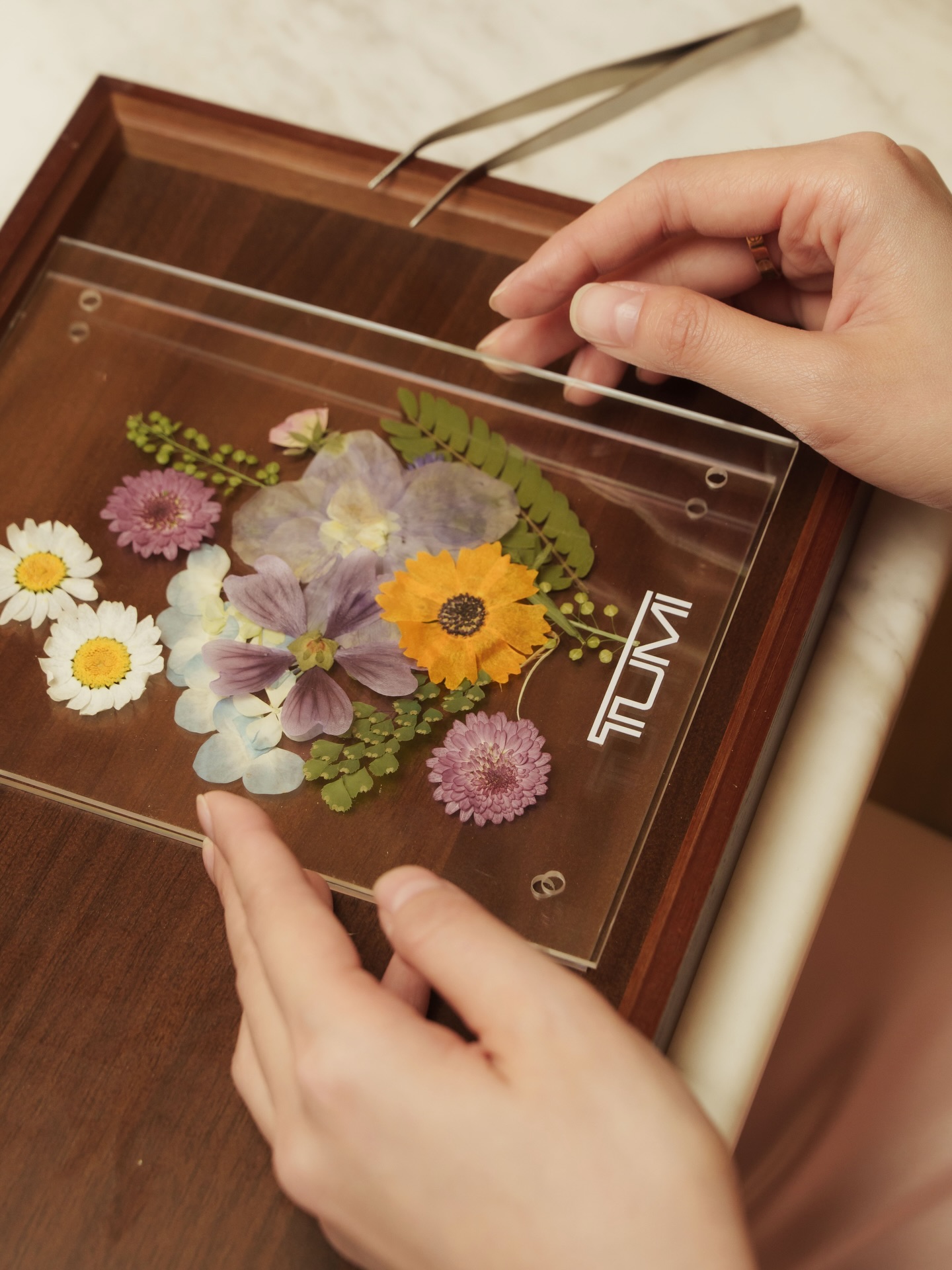 แจน -  พลอยชมพู ศุภทรัพย์