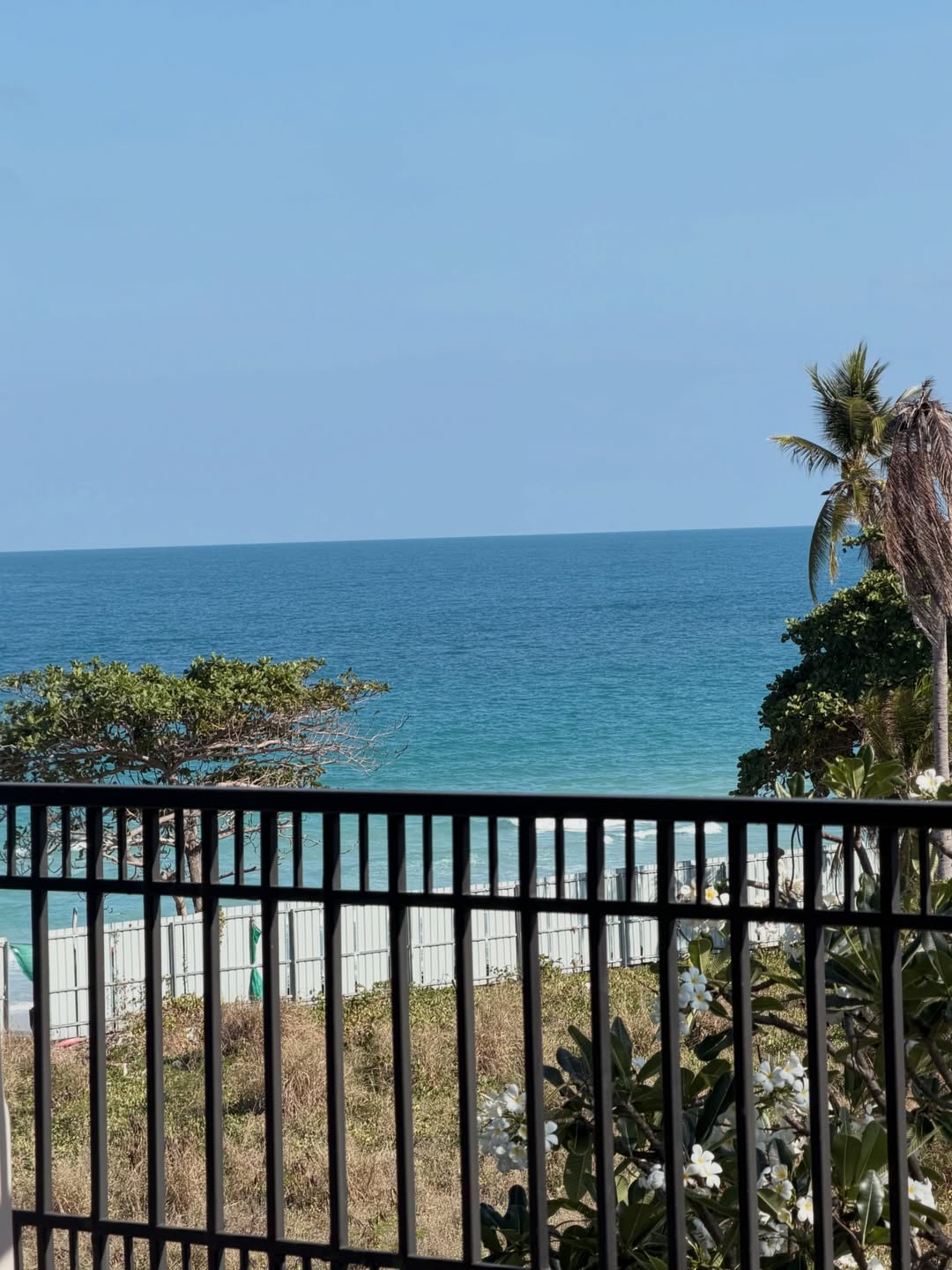 แจน -  พลอยชมพู ศุภทรัพย์