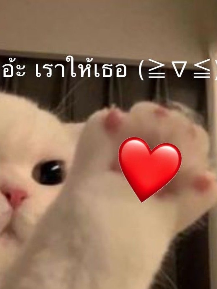 แจน -  พลอยชมพู ศุภทรัพย์