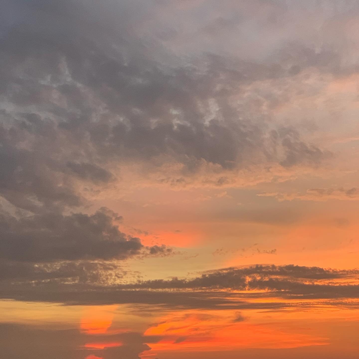พีค - ภีมพล พาณิชย์ธำรง