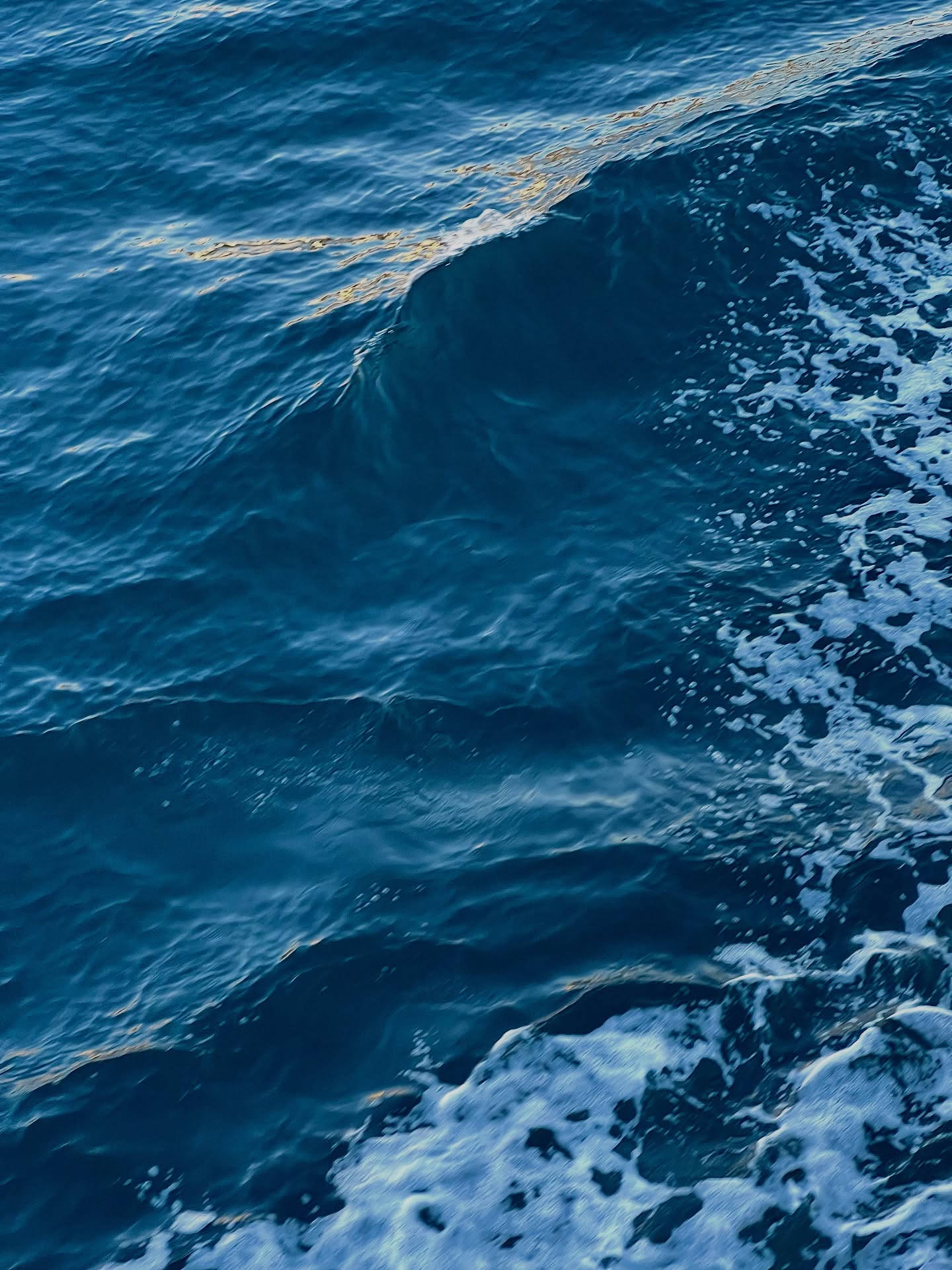 พีค - ภีมพล พาณิชย์ธำรง