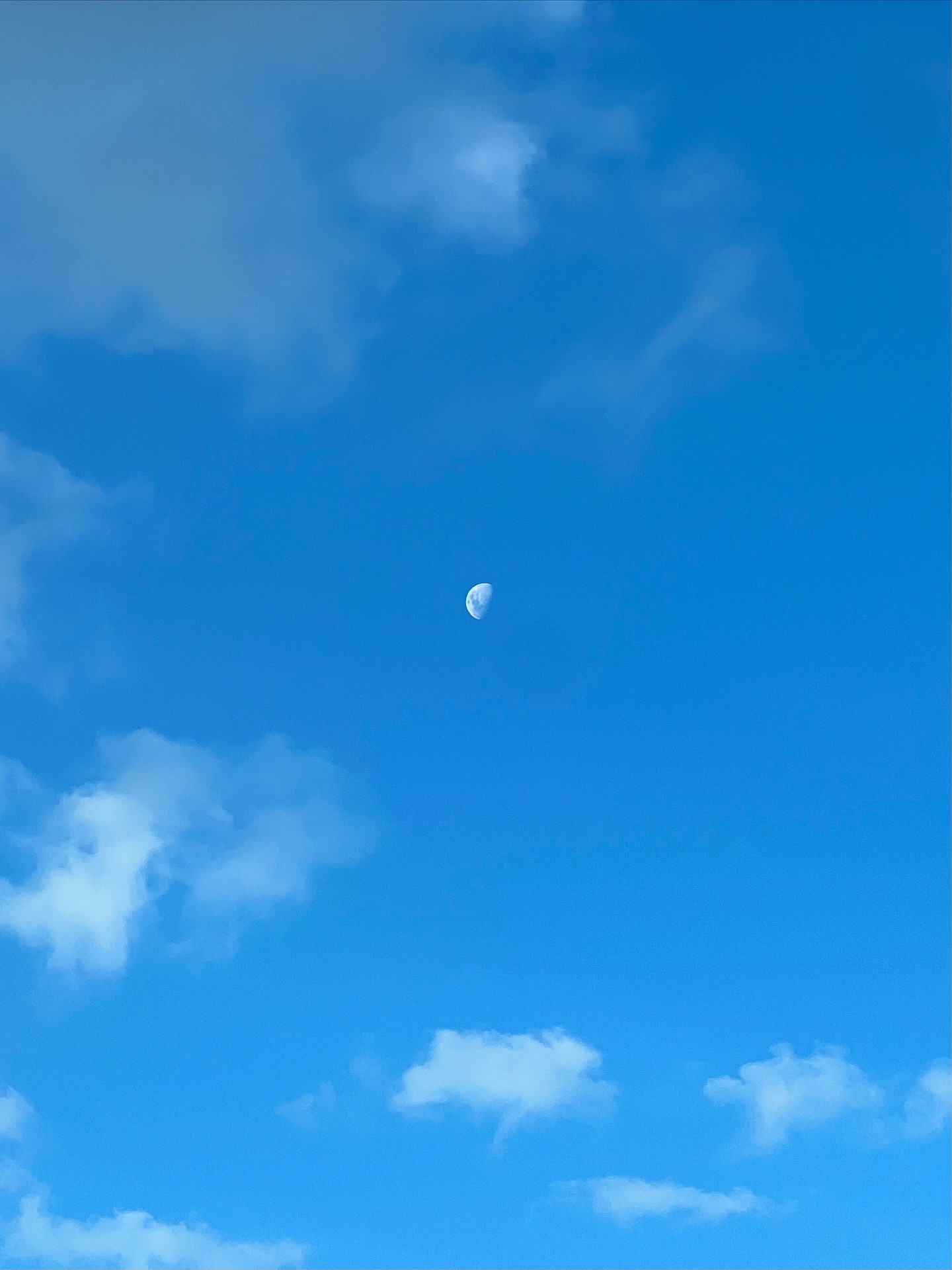 พีค - ภีมพล พาณิชย์ธำรง