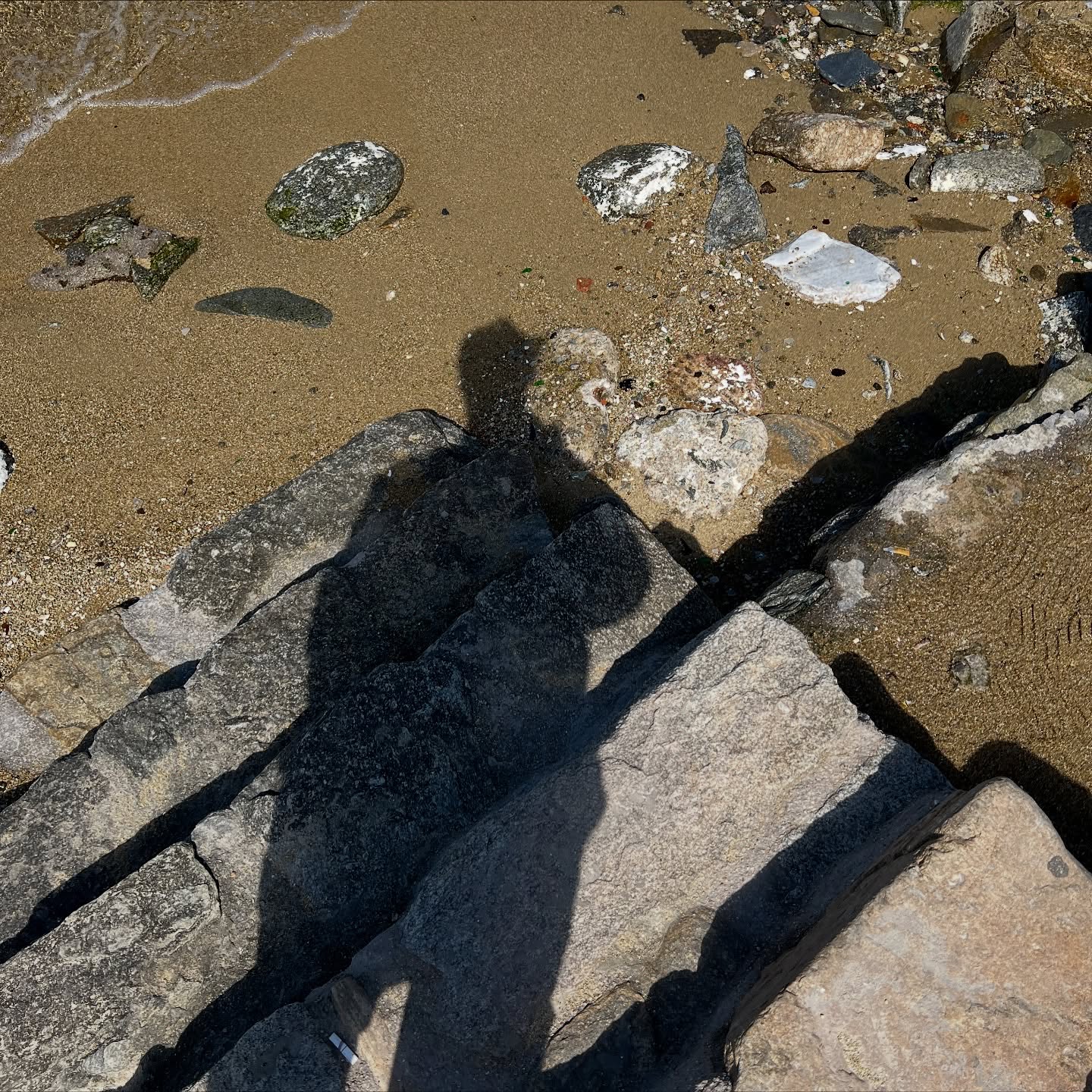 พีค - ภีมพล พาณิชย์ธำรง