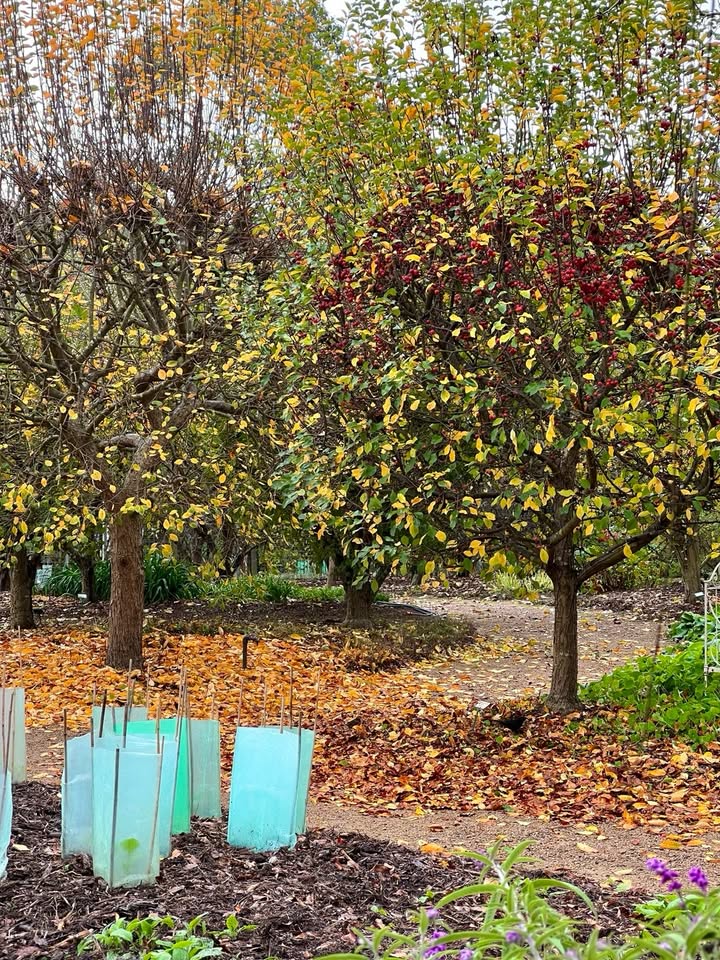 พีค - ภีมพล พาณิชย์ธำรง