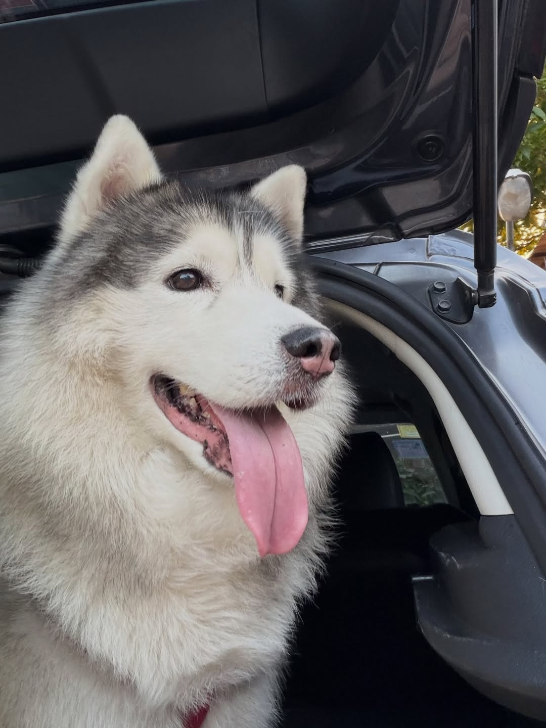 พีค - ภีมพล พาณิชย์ธำรง