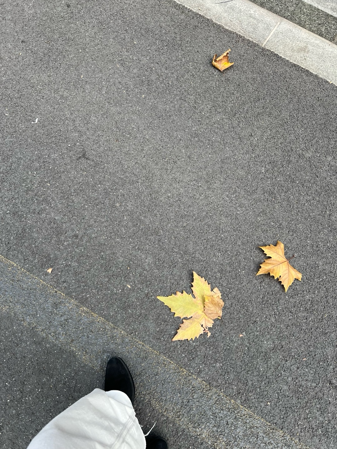 พีค - ภีมพล พาณิชย์ธำรง