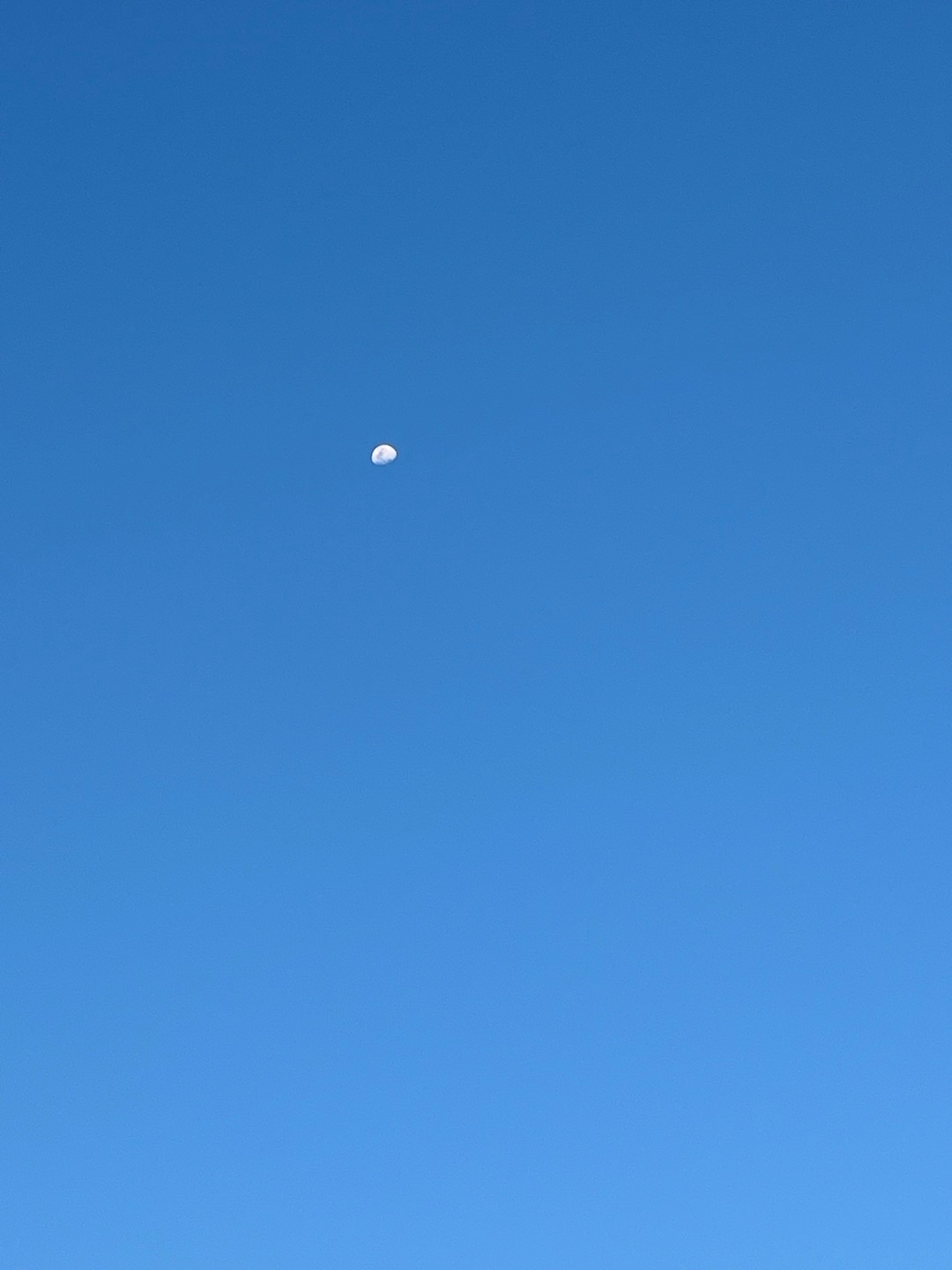 พีค - ภีมพล พาณิชย์ธำรง