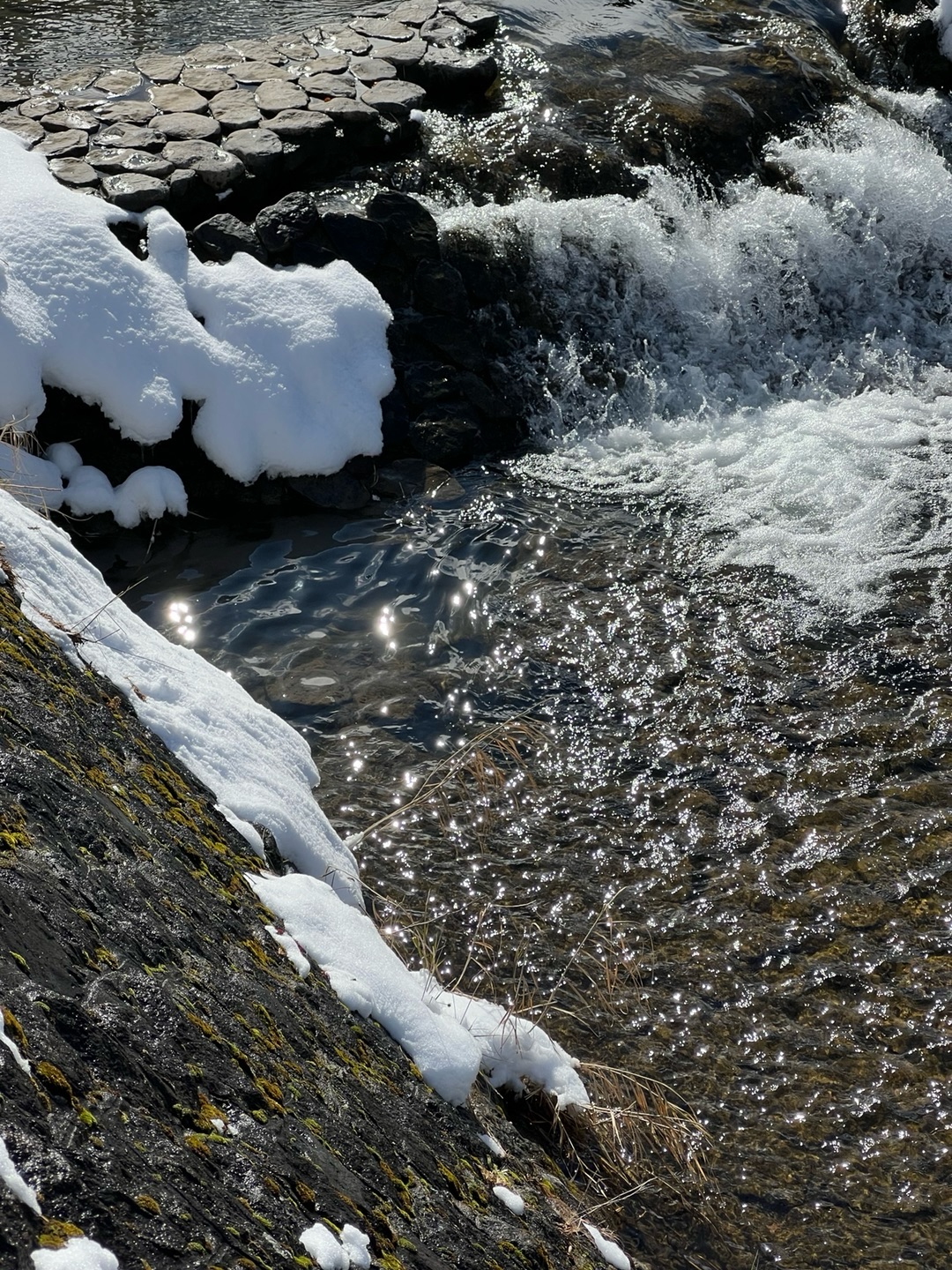 พีค - ภีมพล พาณิชย์ธำรง