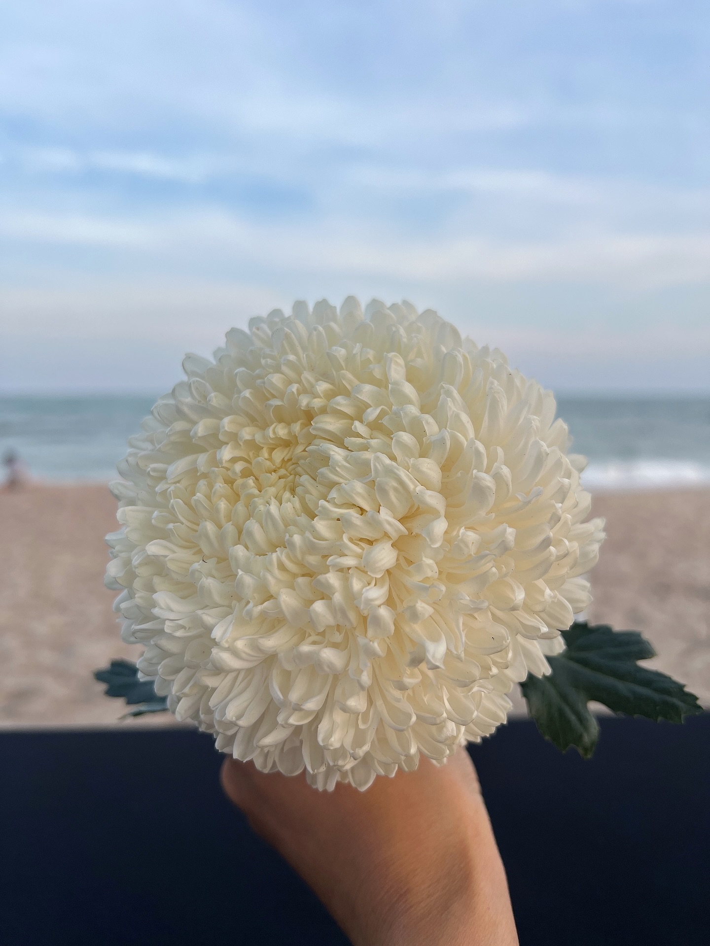 เอ๋ - มณีรัตน์ คำอ้วน