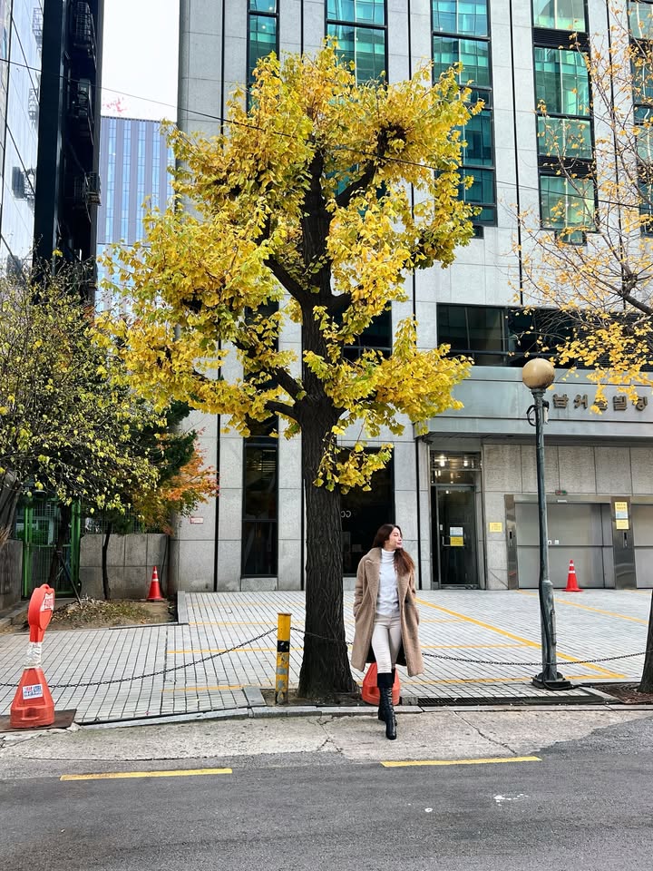 เอ๋ - มณีรัตน์ คำอ้วน