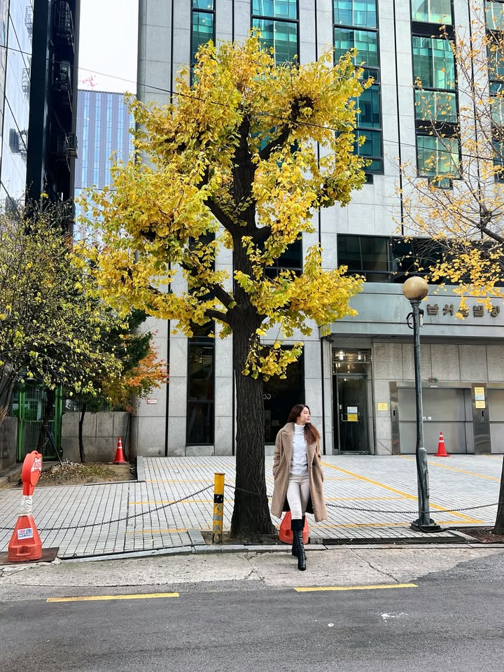 เอ๋ - มณีรัตน์ คำอ้วน