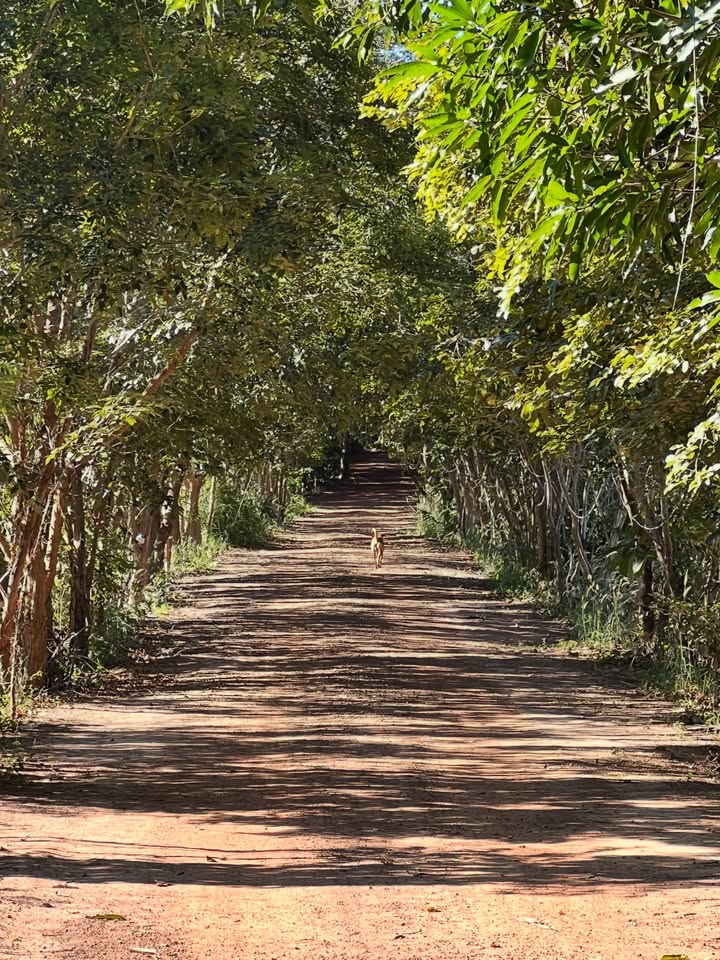 เอ๋ - มณีรัตน์ คำอ้วน