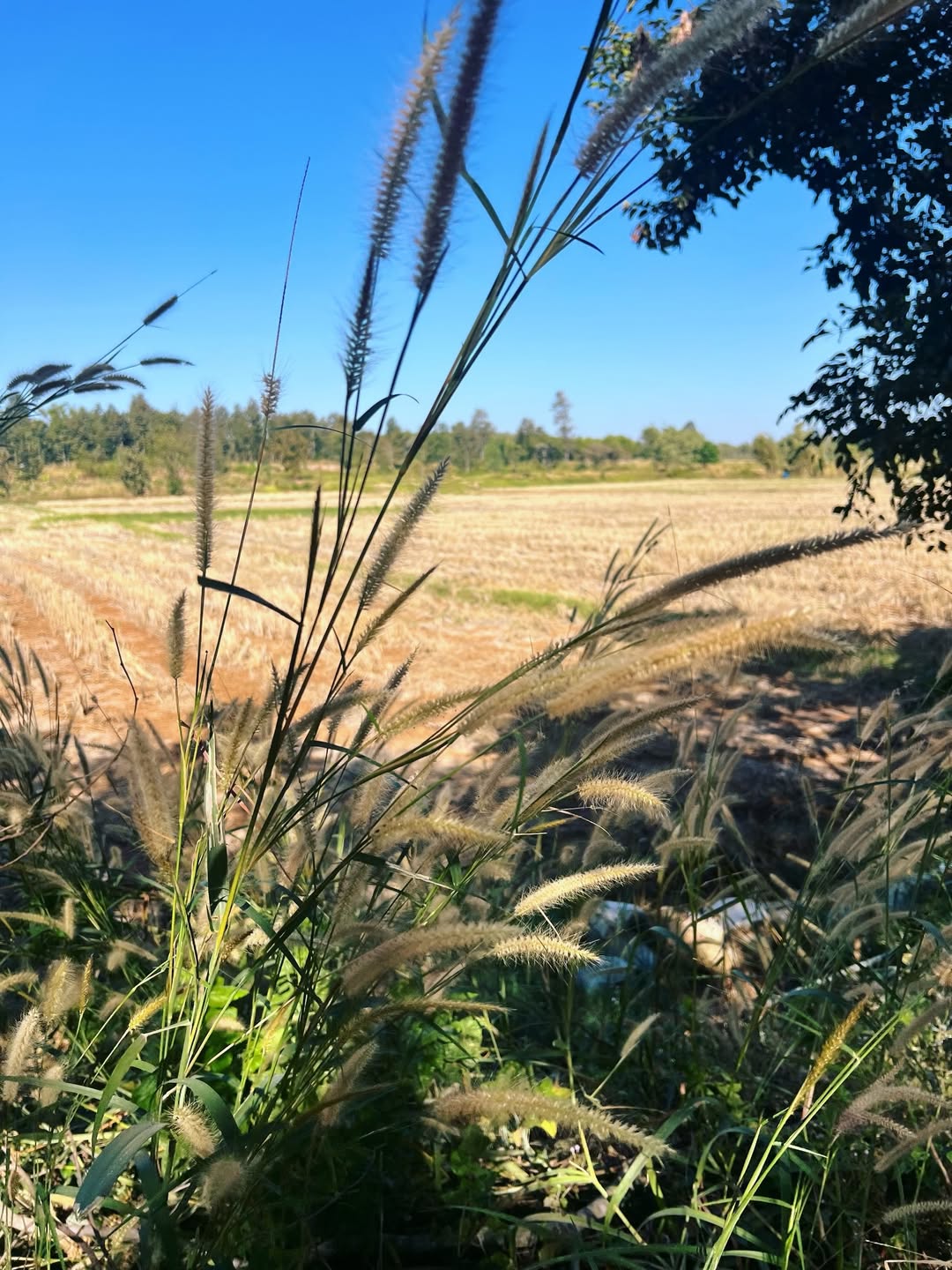 เอ๋ - มณีรัตน์ คำอ้วน