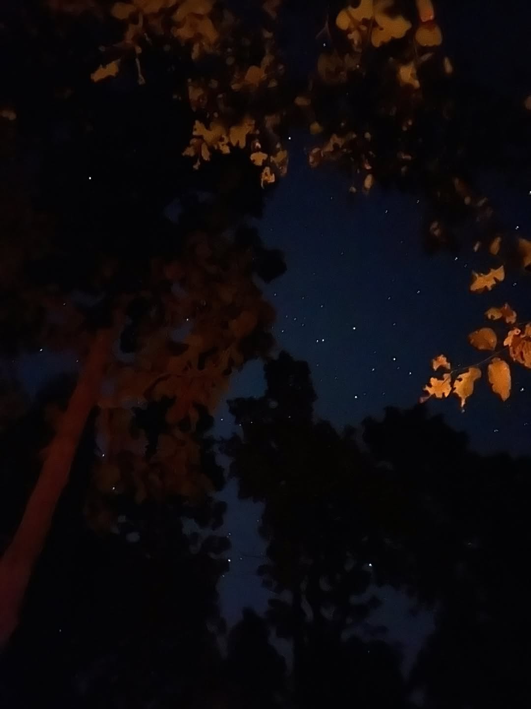 เอ๋ - มณีรัตน์ คำอ้วน