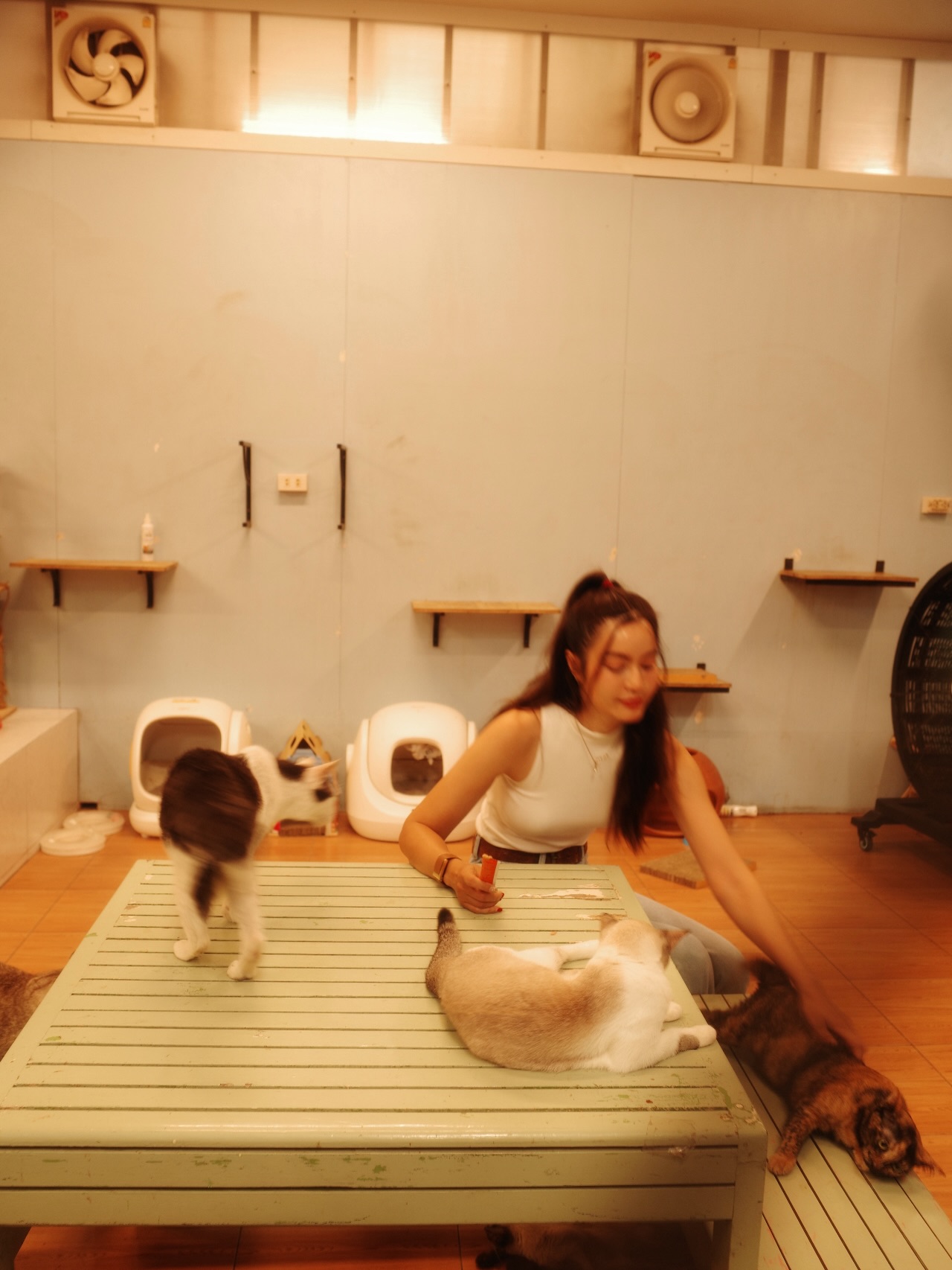 เอ๋ - มณีรัตน์ คำอ้วน