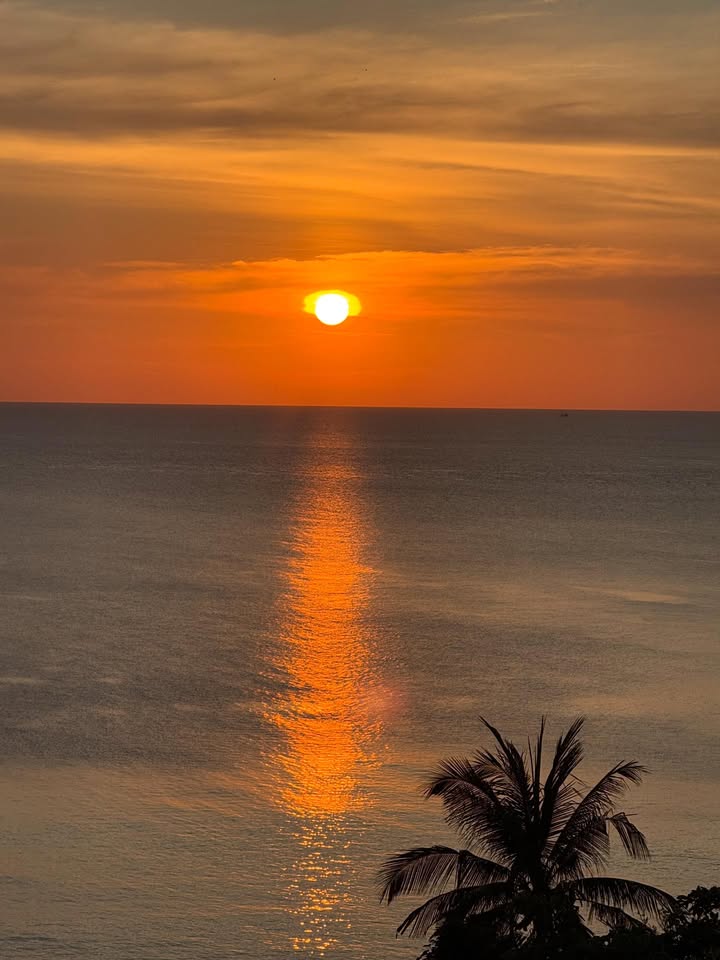 ซาบีน่า - อจิรภา ไมซิงเกอร์